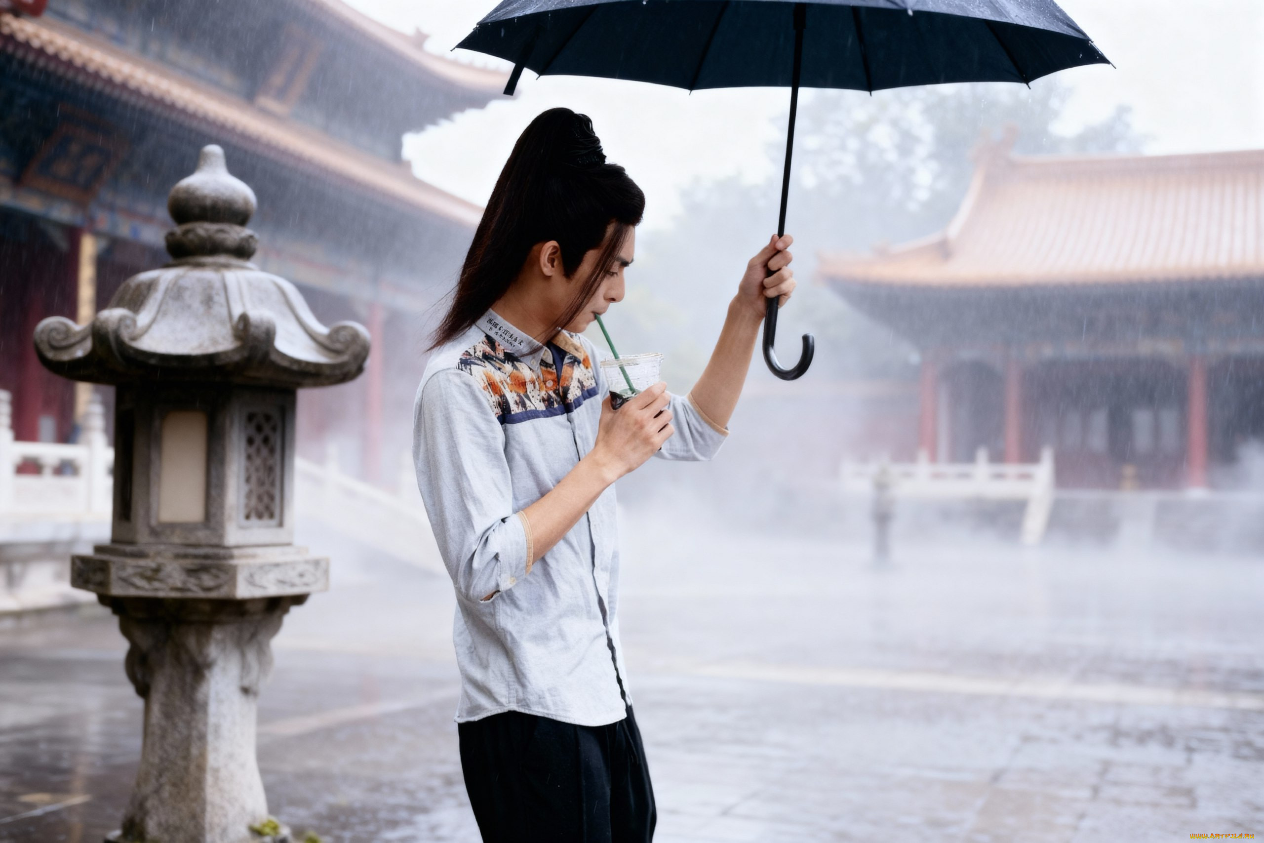 �������, wang hao xuan, ���, ���, �����